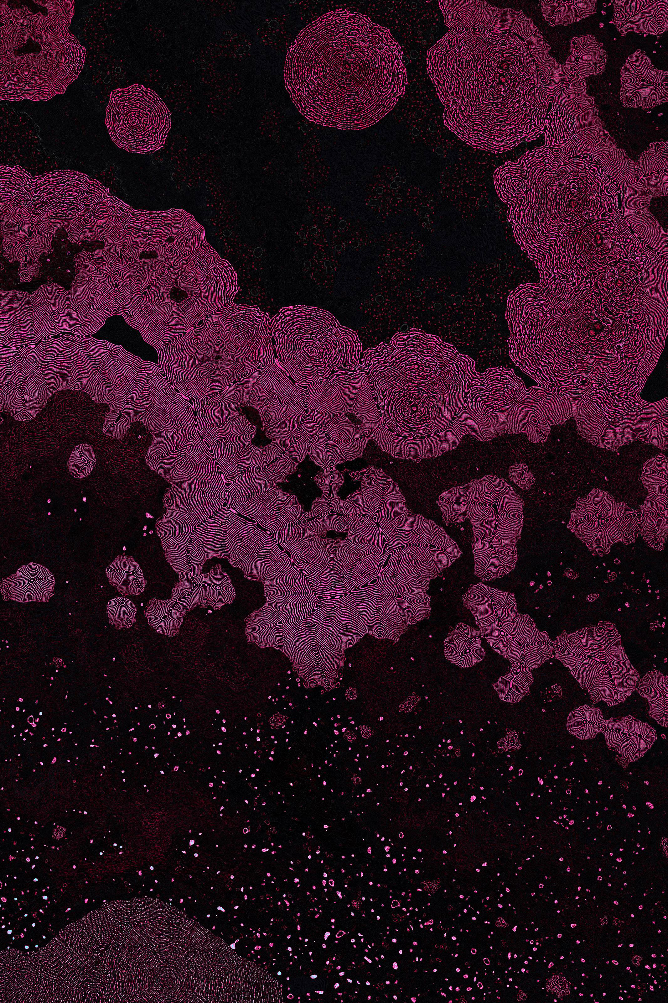 Dactylogram #73