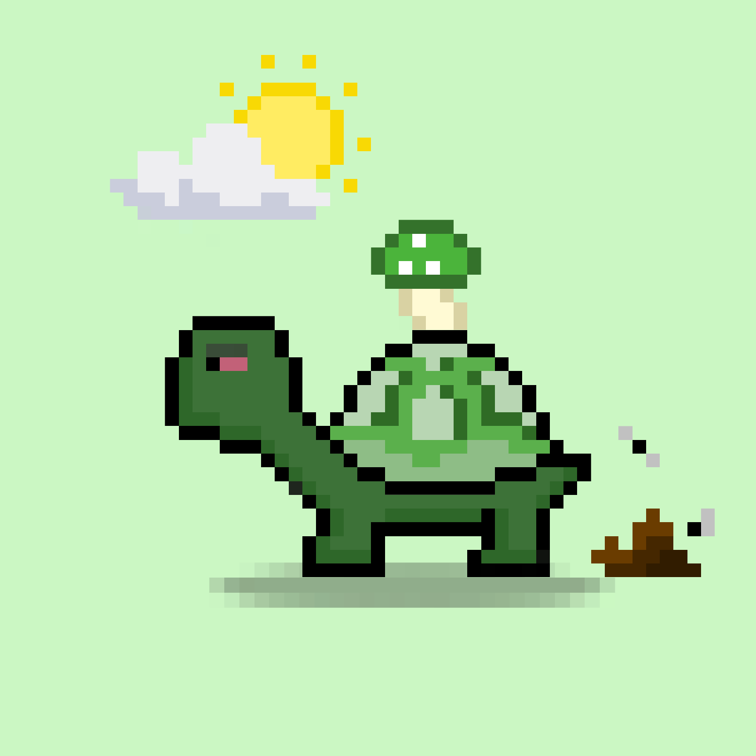 Turtle Moons #3401