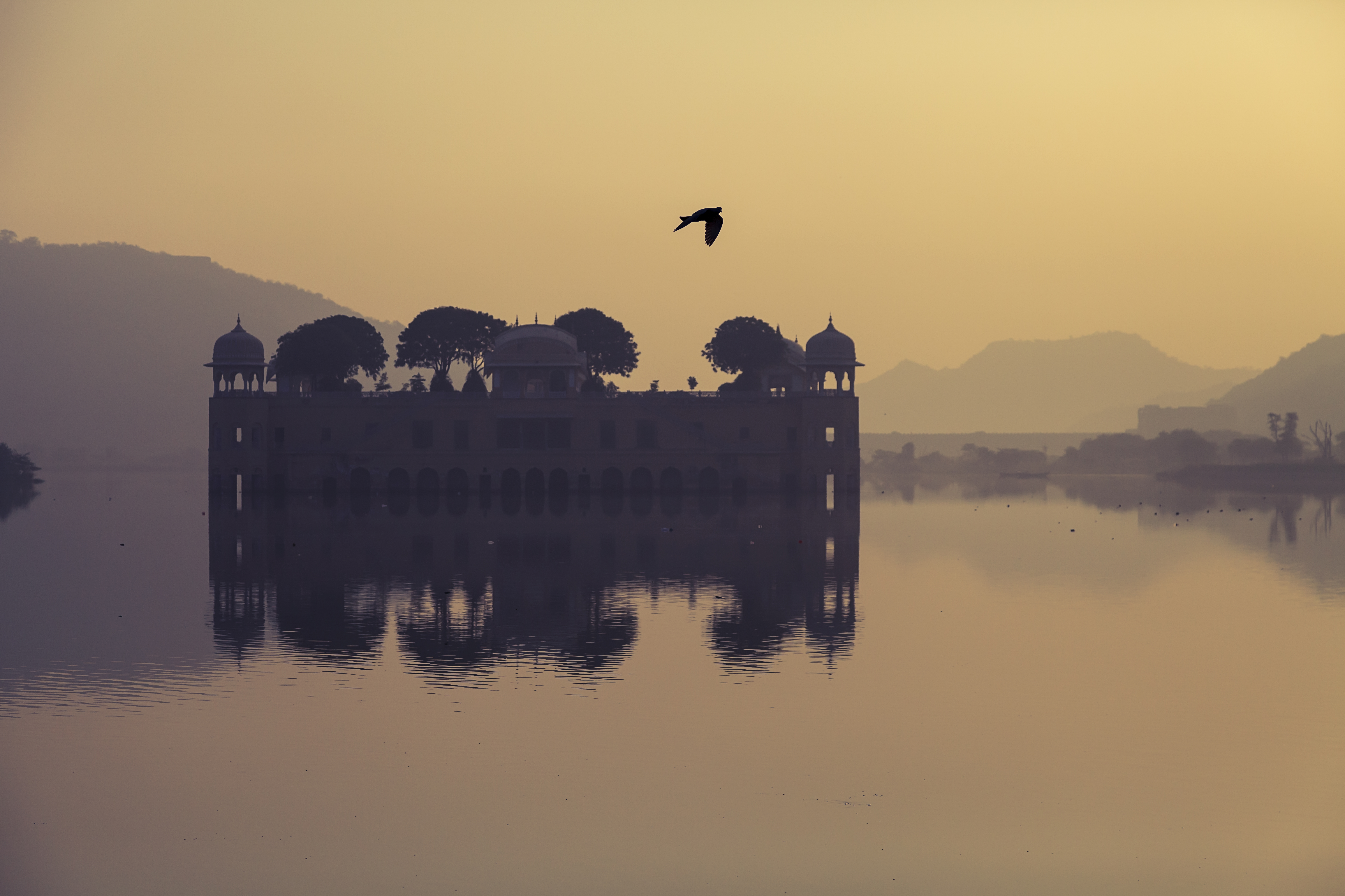Serenity