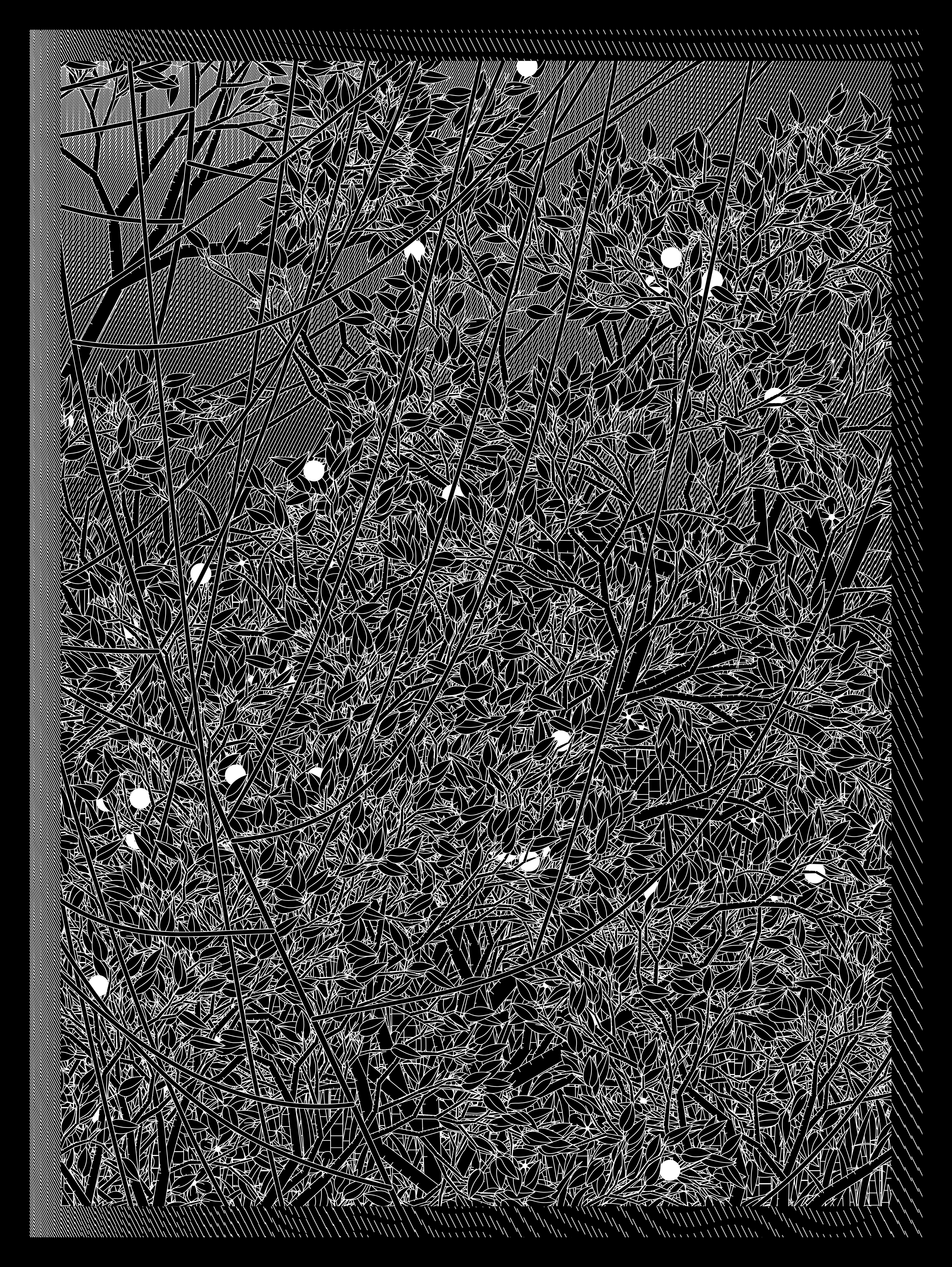 Entangled #364