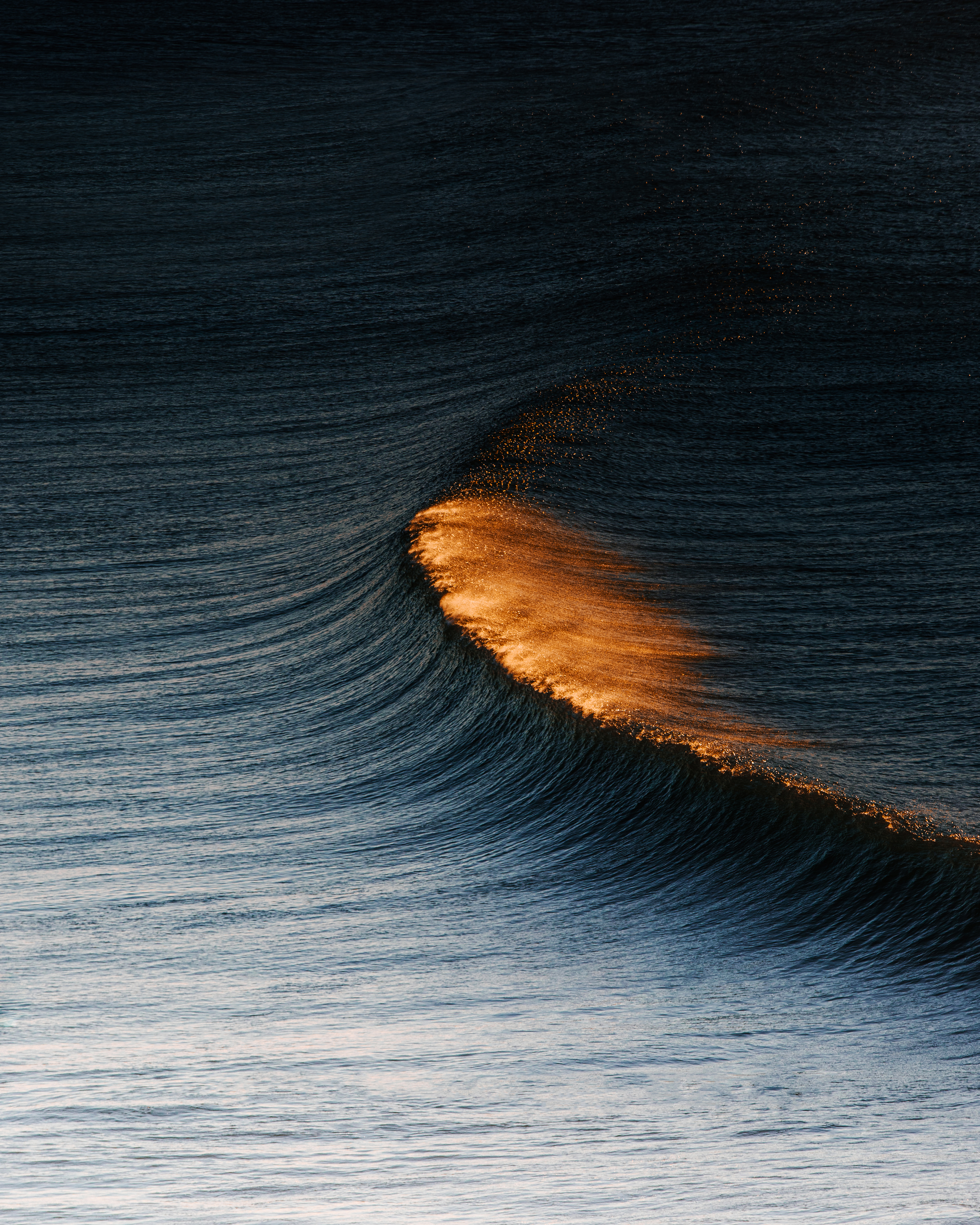 Golden Glow