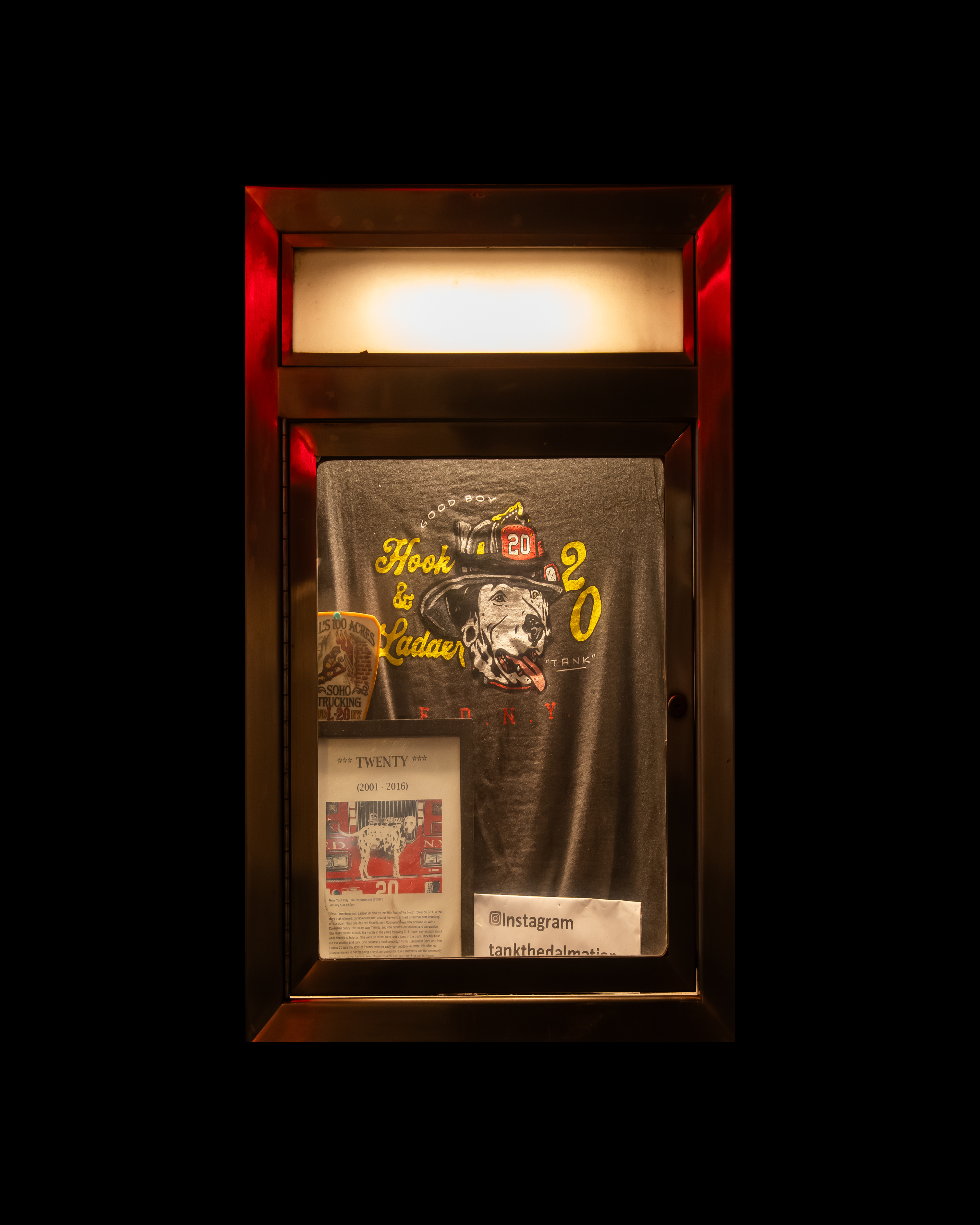 WINDOW 464