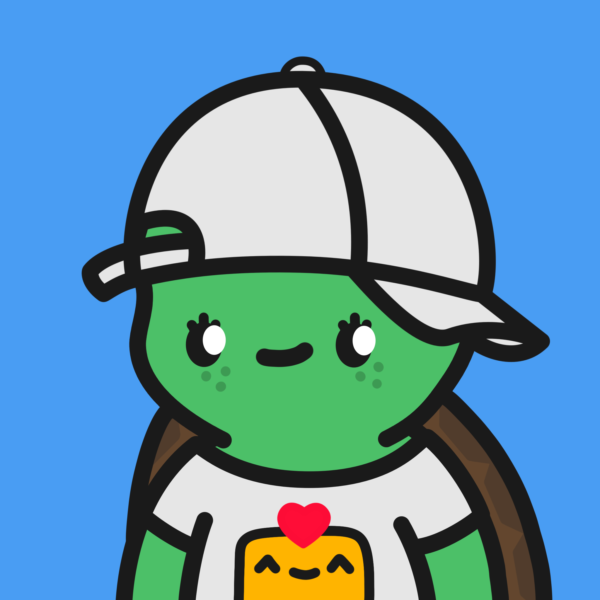 Turtle Town #8174