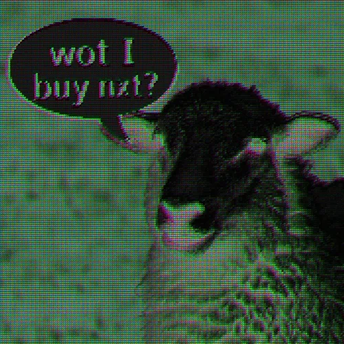 Wot Buy?