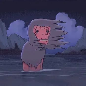 Calm Monkey in the Water 