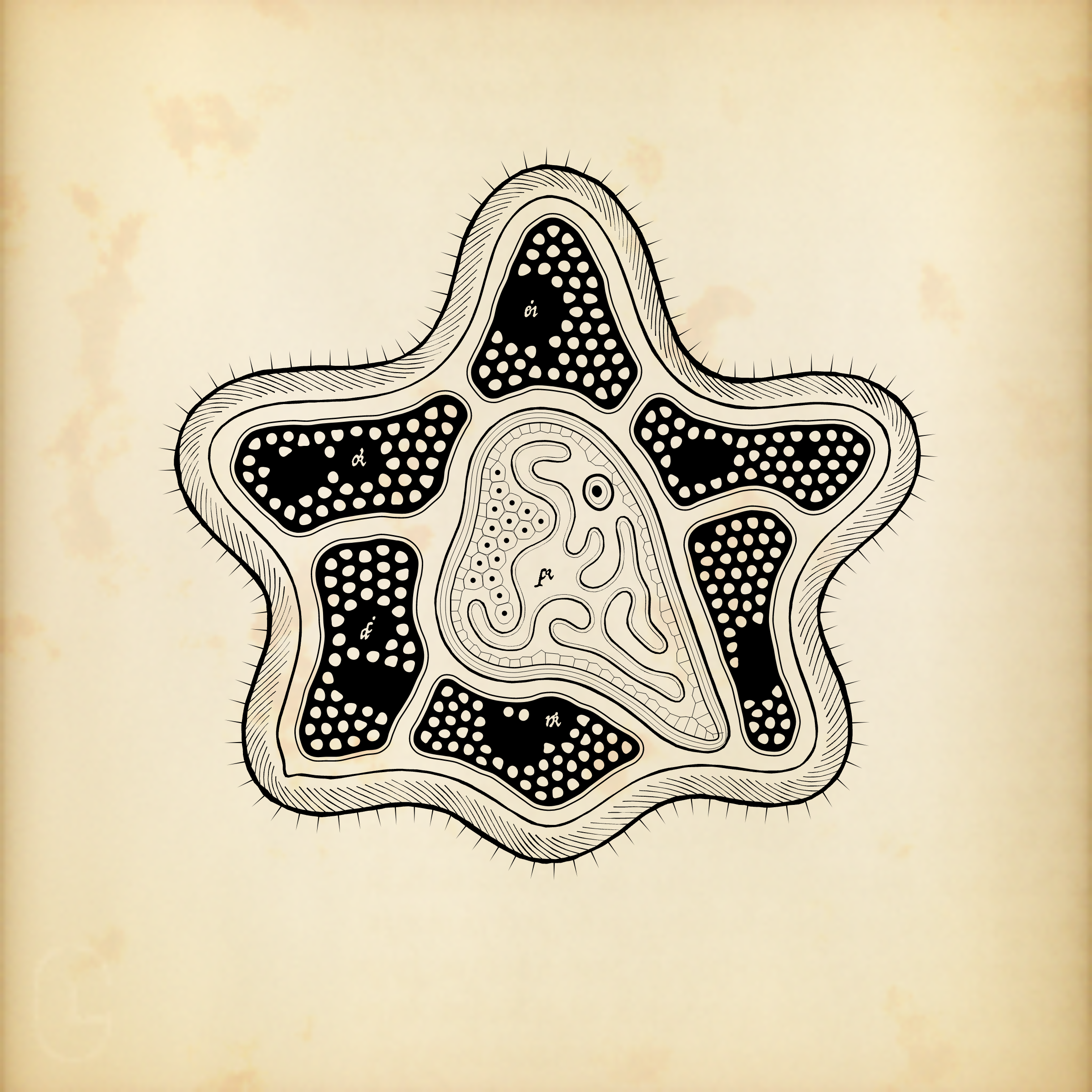 Cytographia #260
