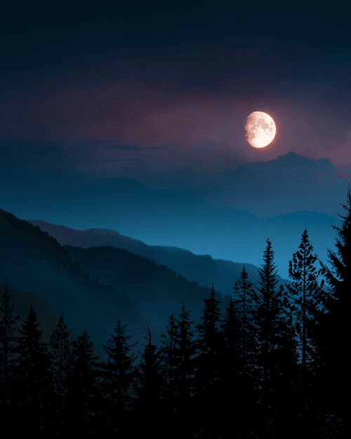 Day 11: The Mountains Are Calling