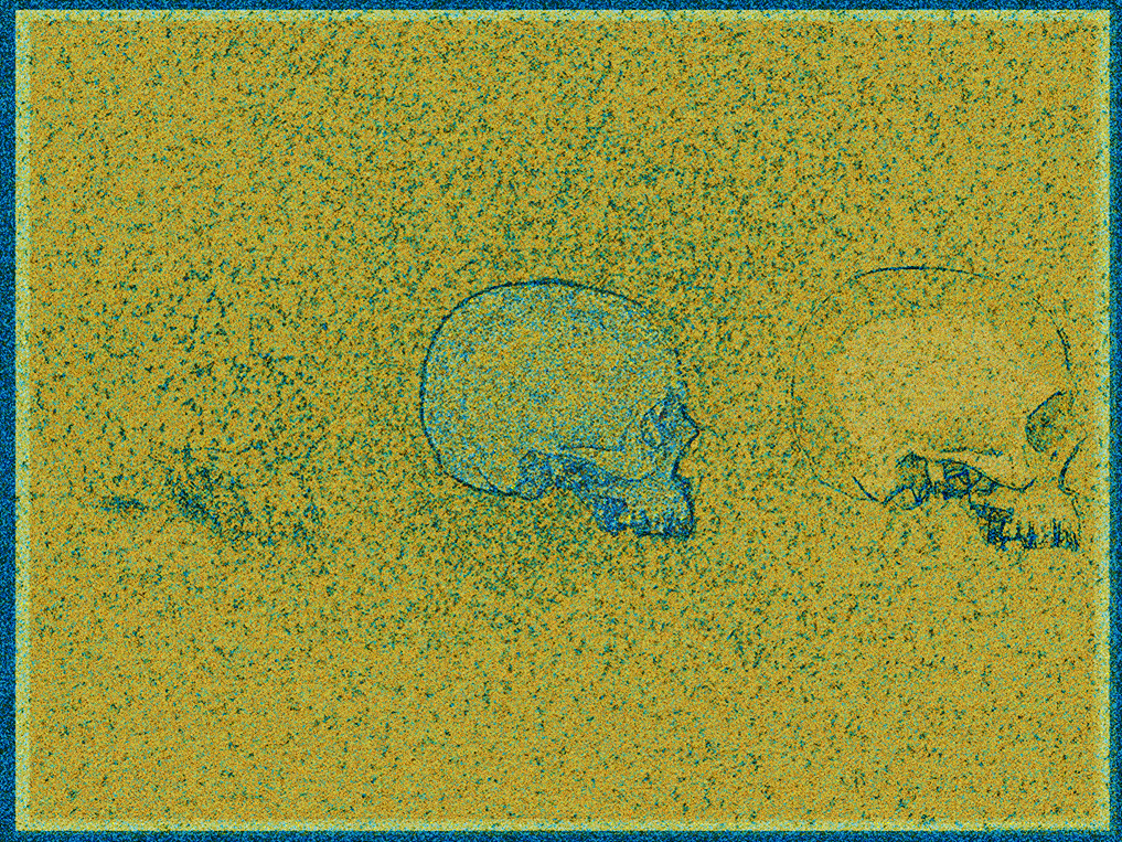 Pollen