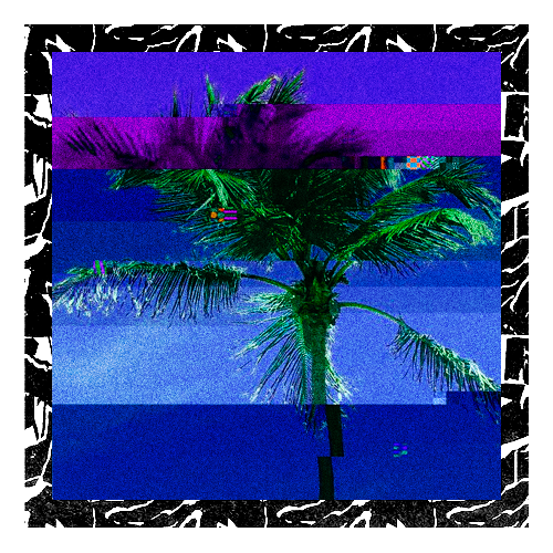 DIGITAL PARADISΞ