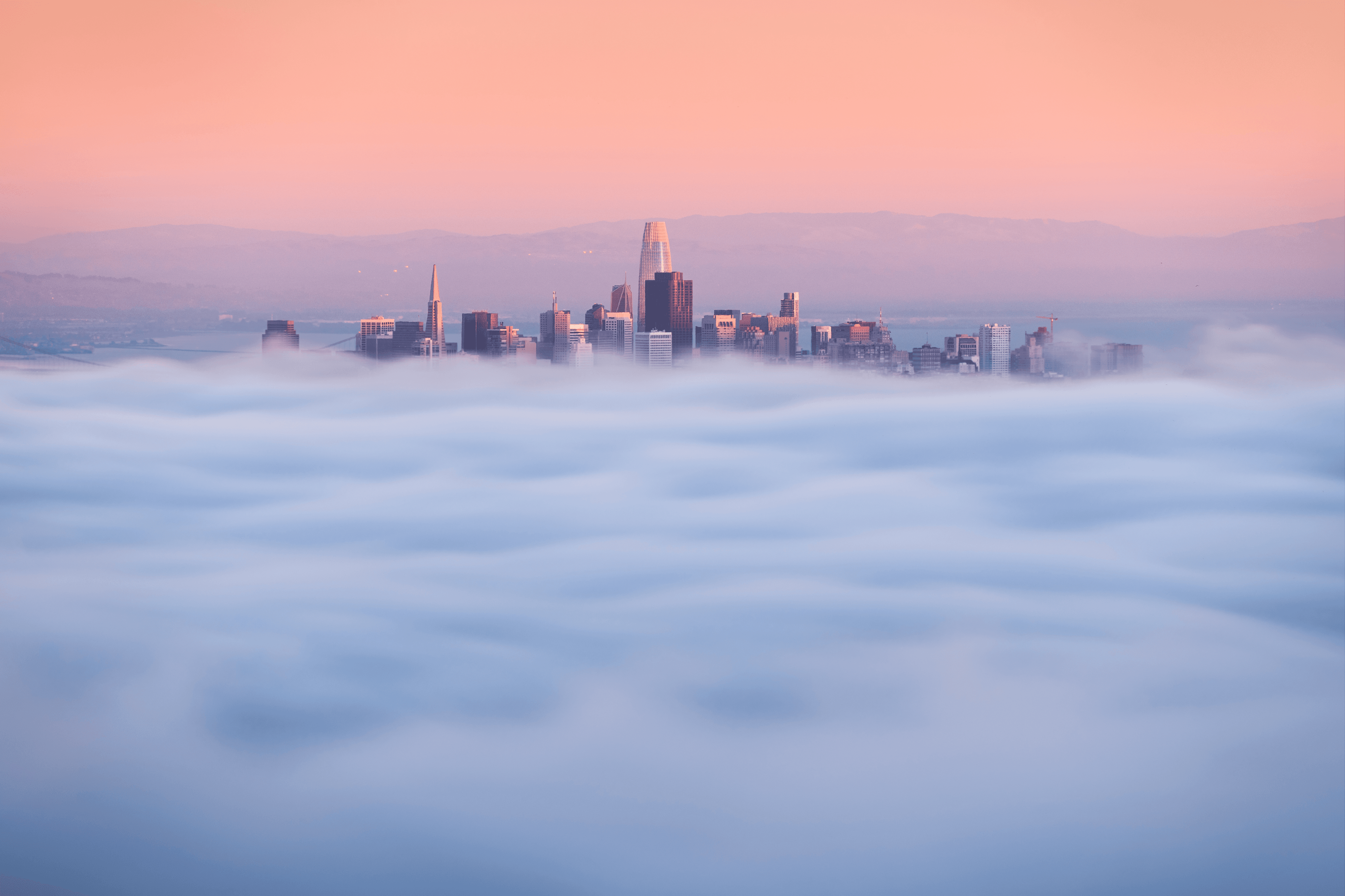 A Symphony of Fog #6