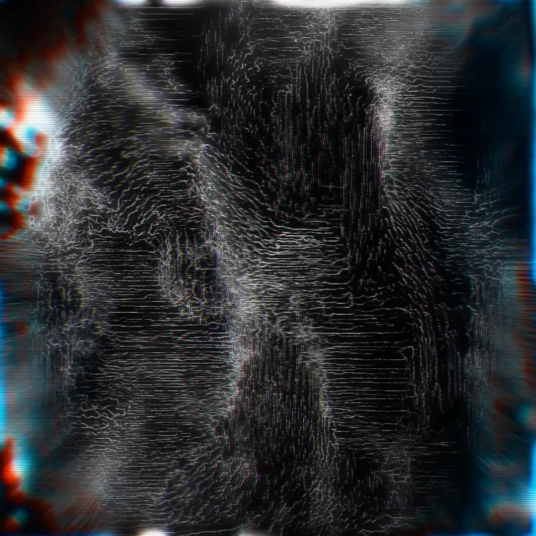 Physarum #3