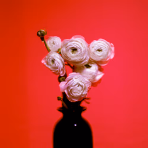 EKTACHROME RED