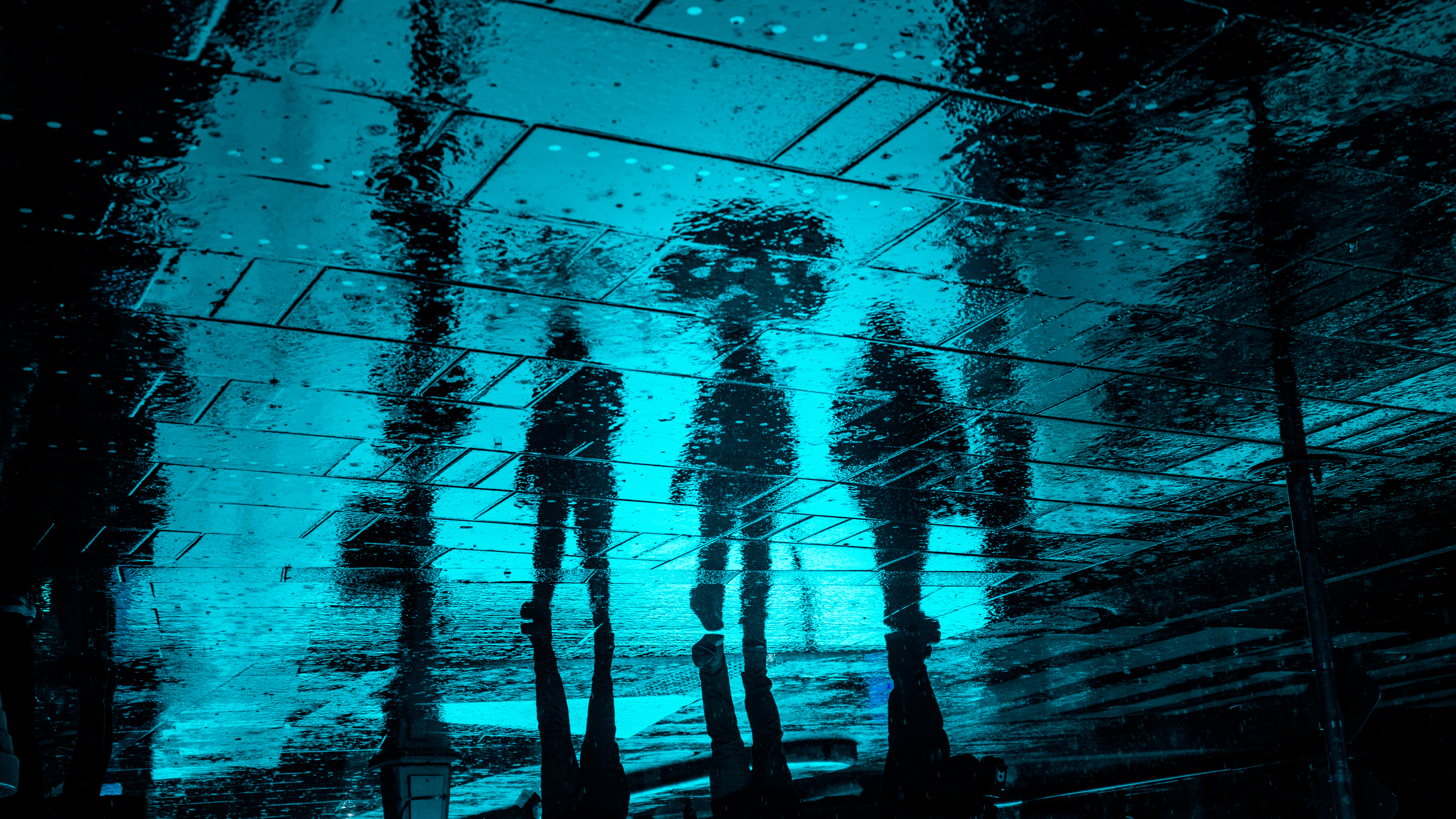 Reverie in Rain