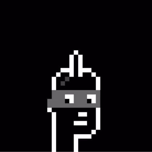 B&W CryptoPunk #904