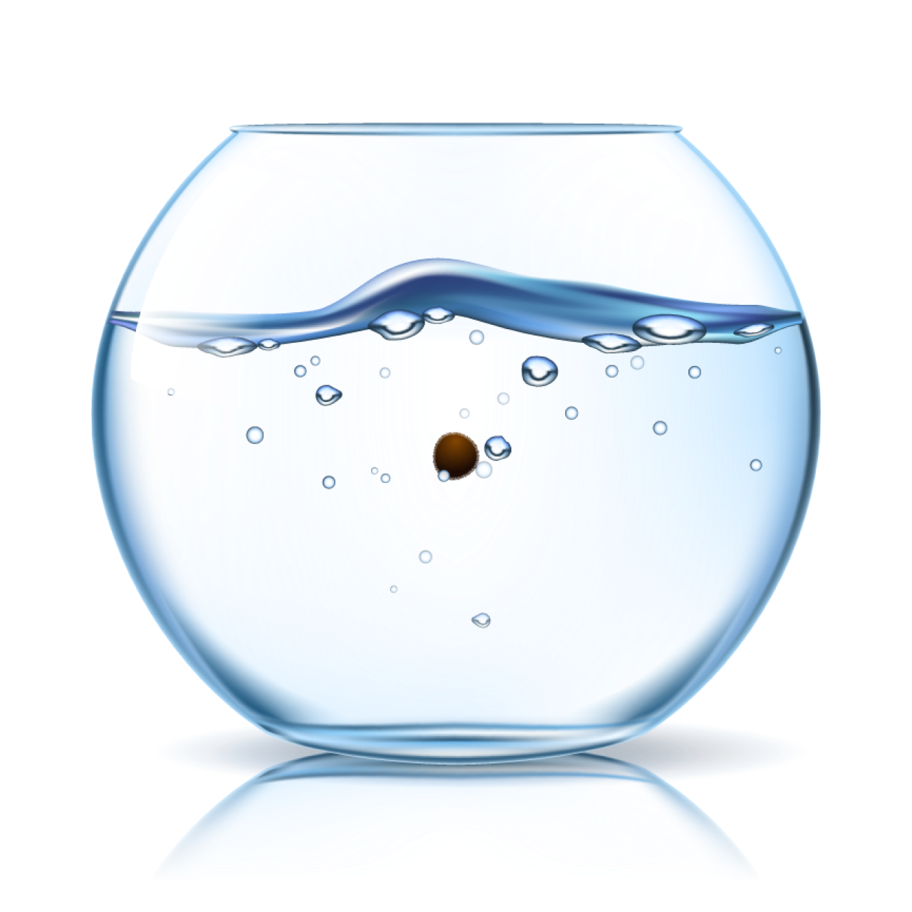 marimo #5538