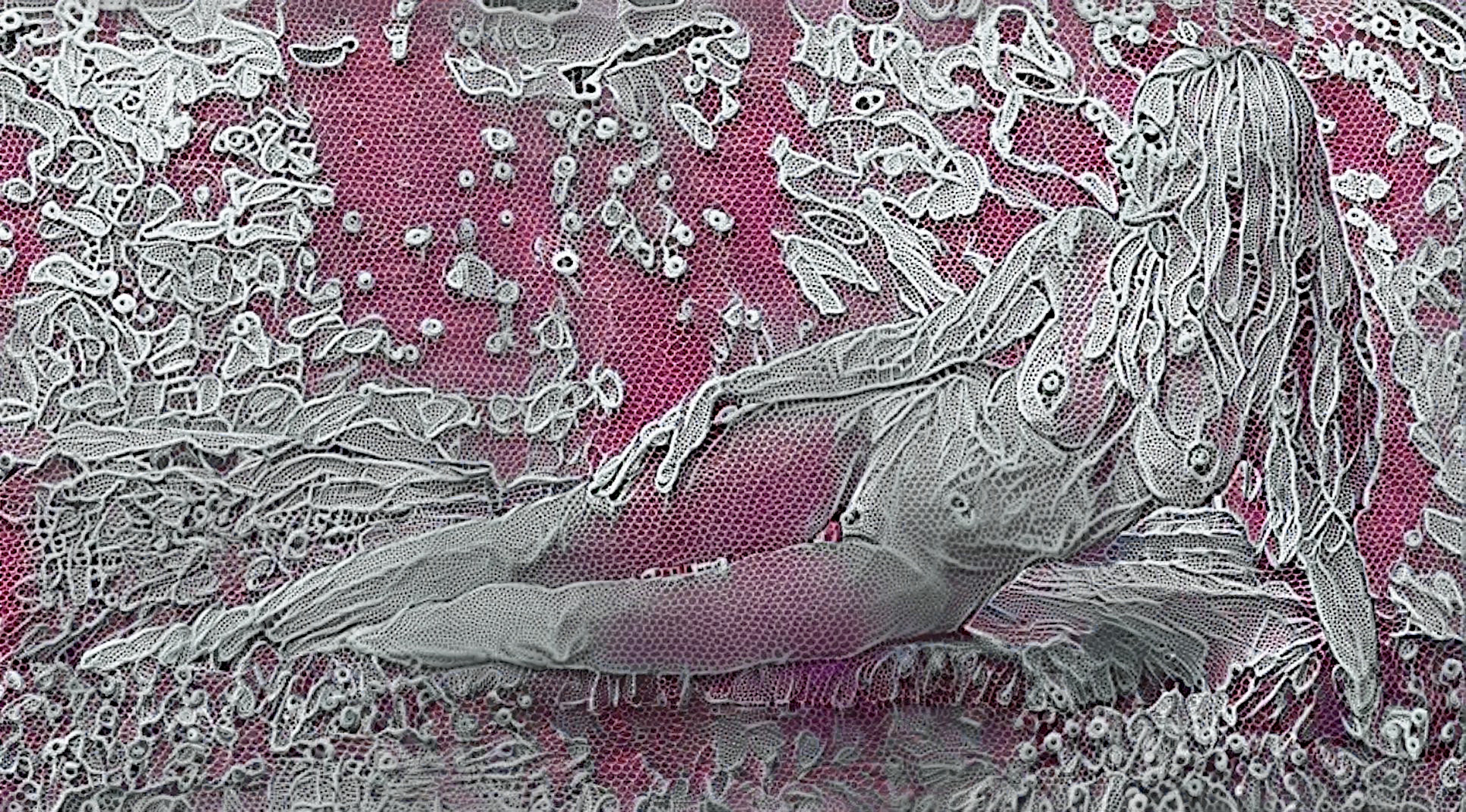 Lace 3
