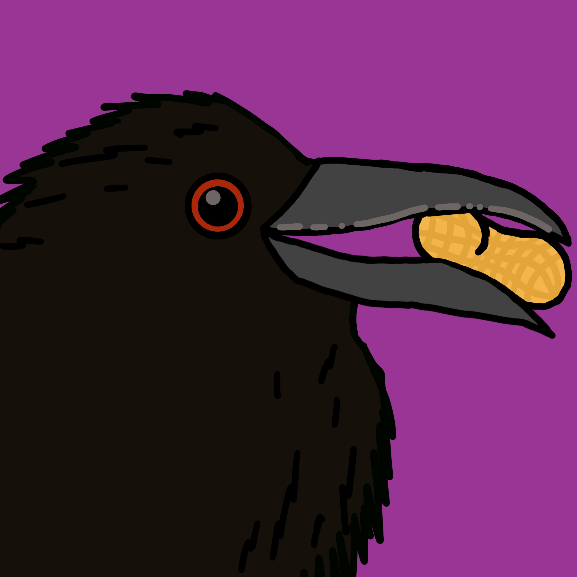 Crow Friends #179