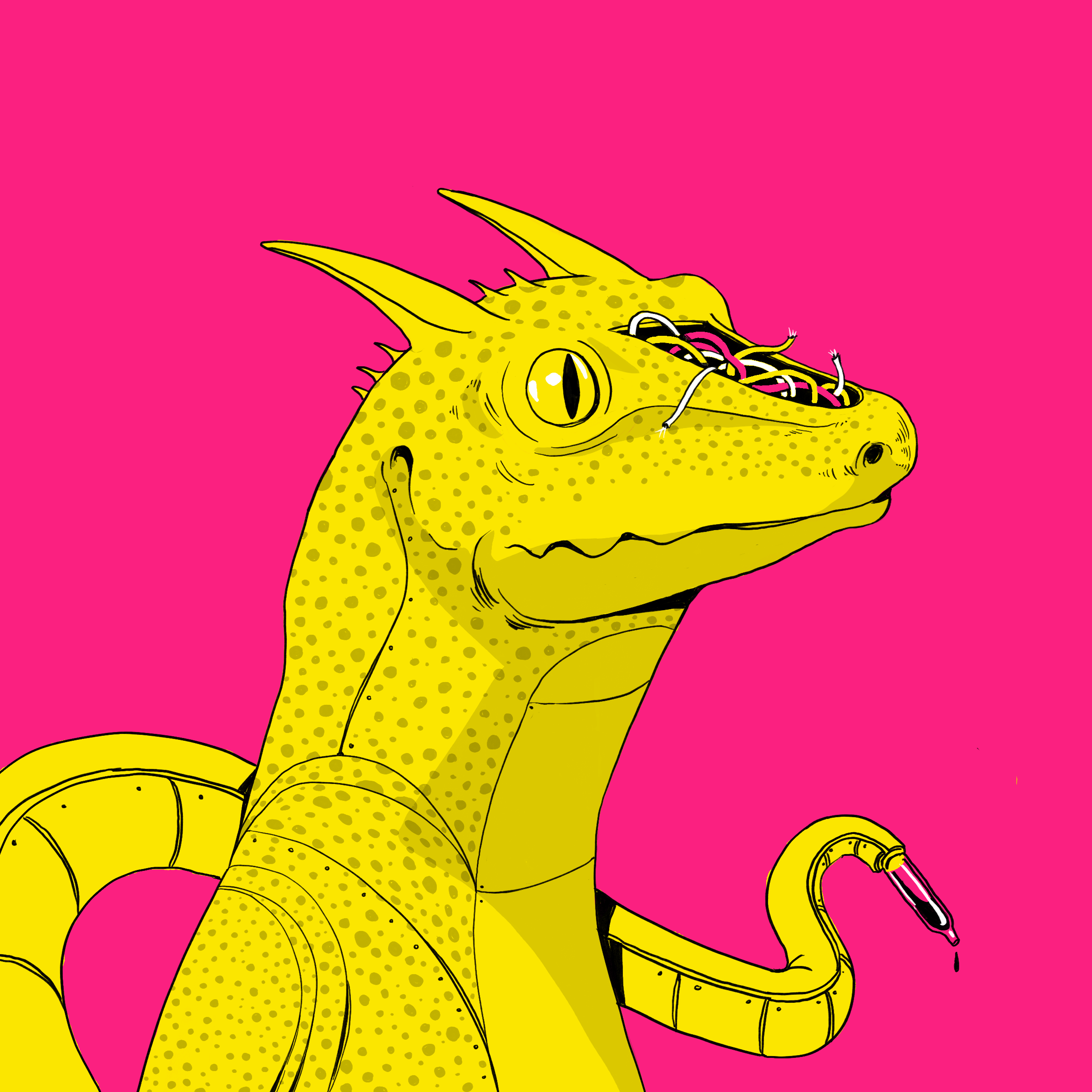 Lizard #4423