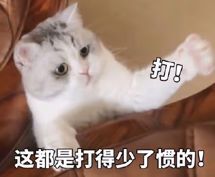 zzz7