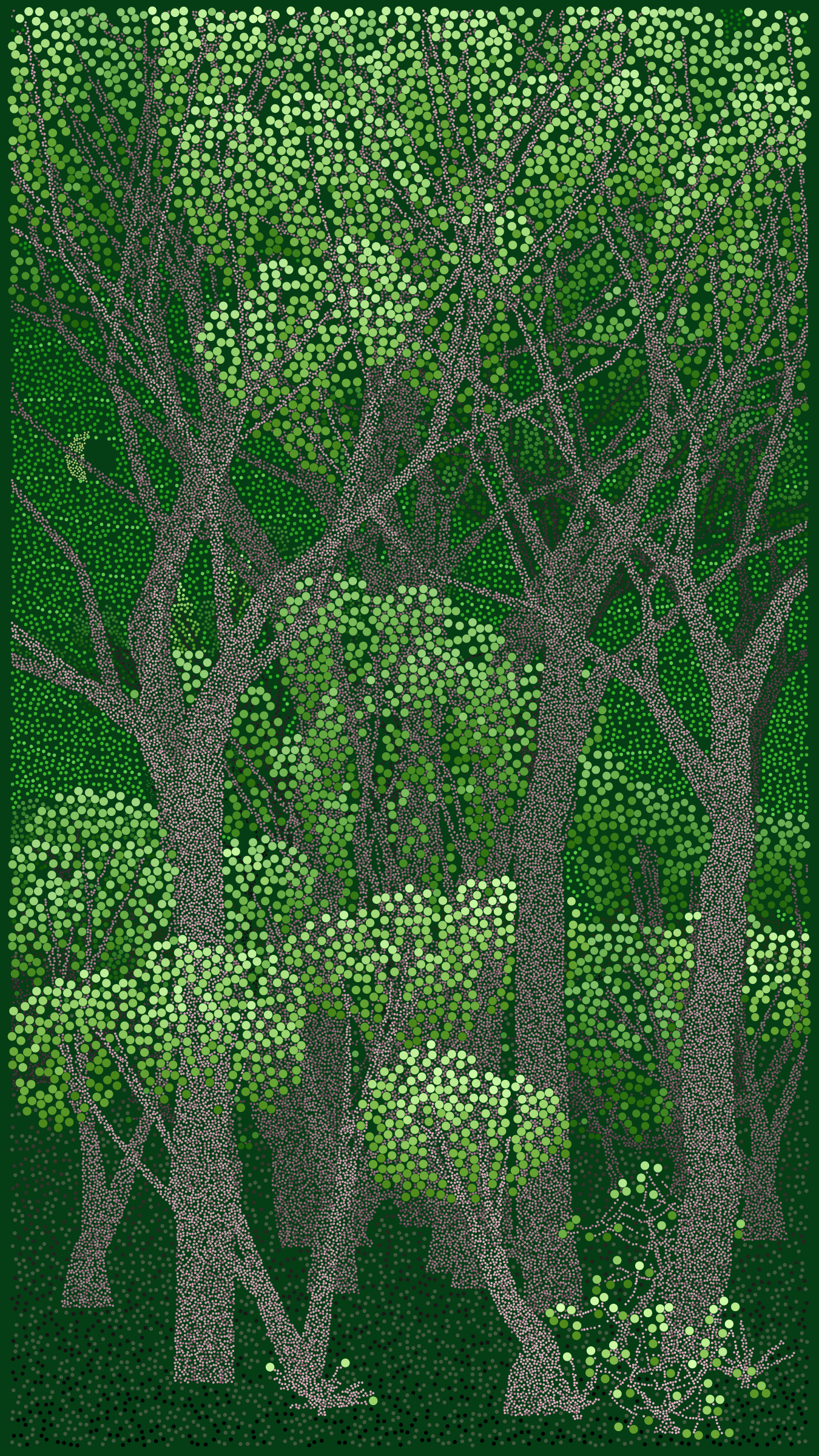 Bosque de Chapultepec #80