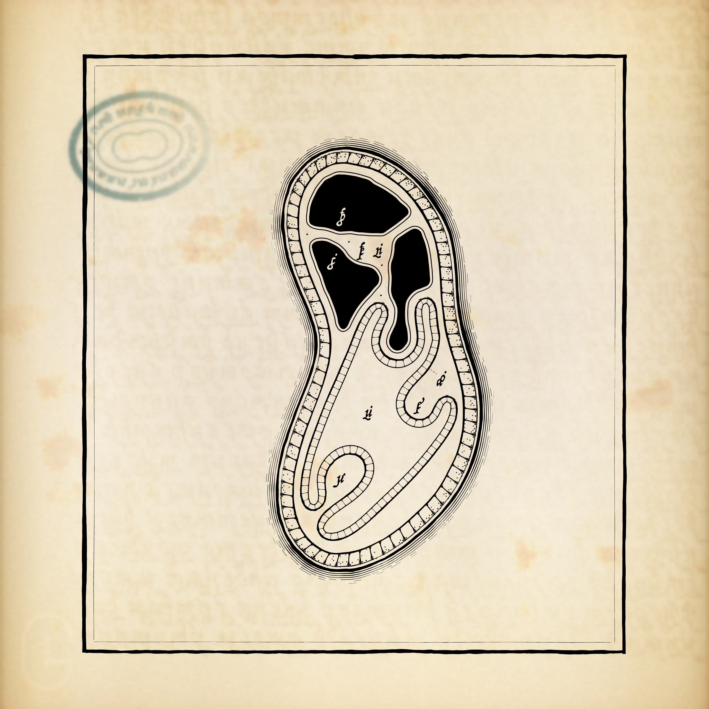 Cytographia #370