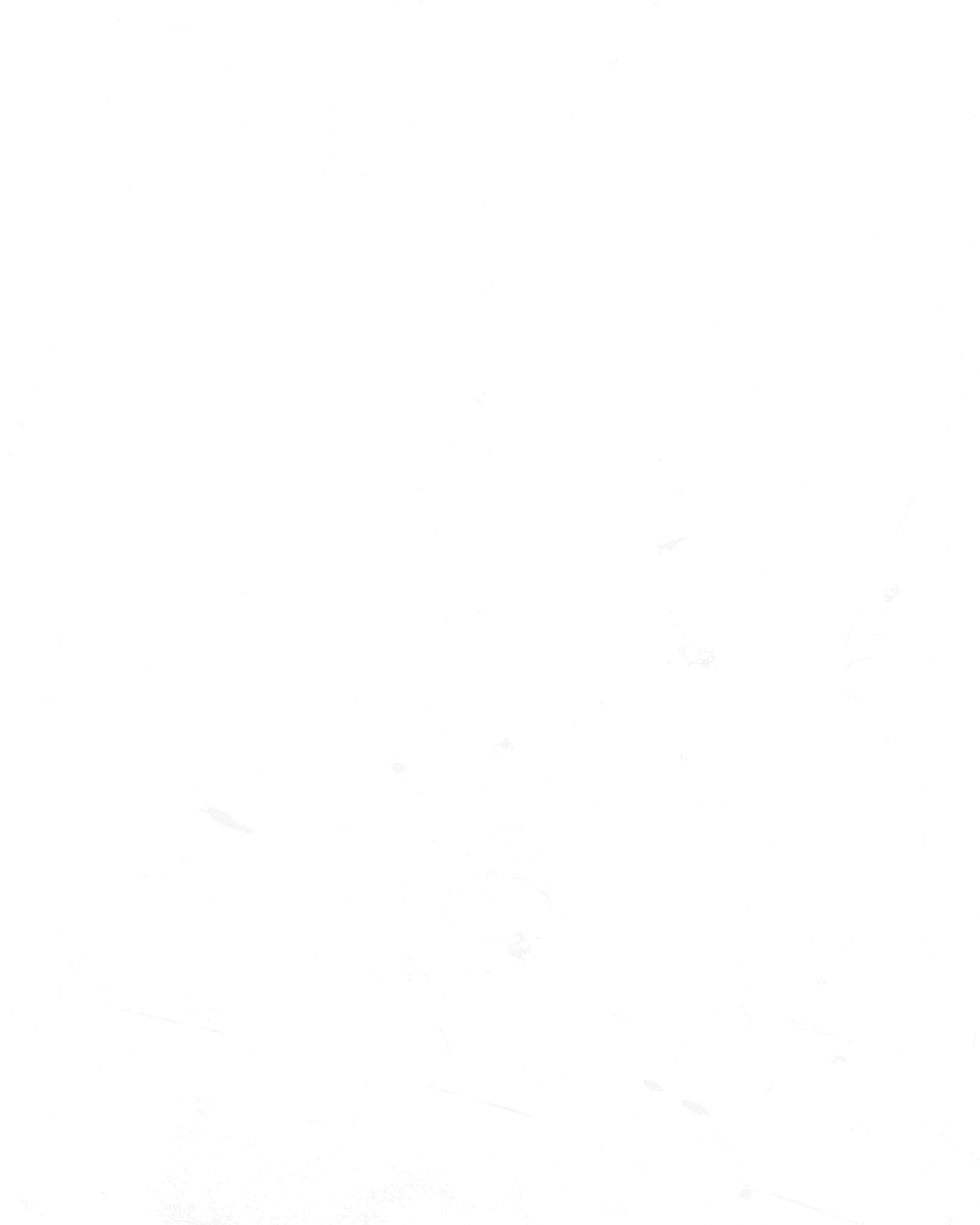 SLIMESHOP - Subtle Dust - #2632