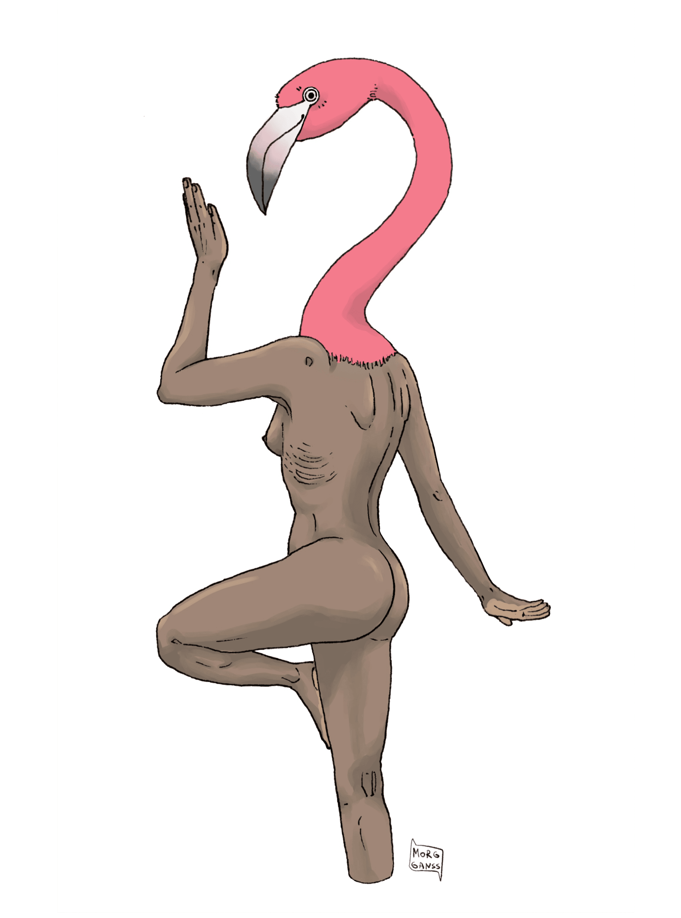 Flamingo