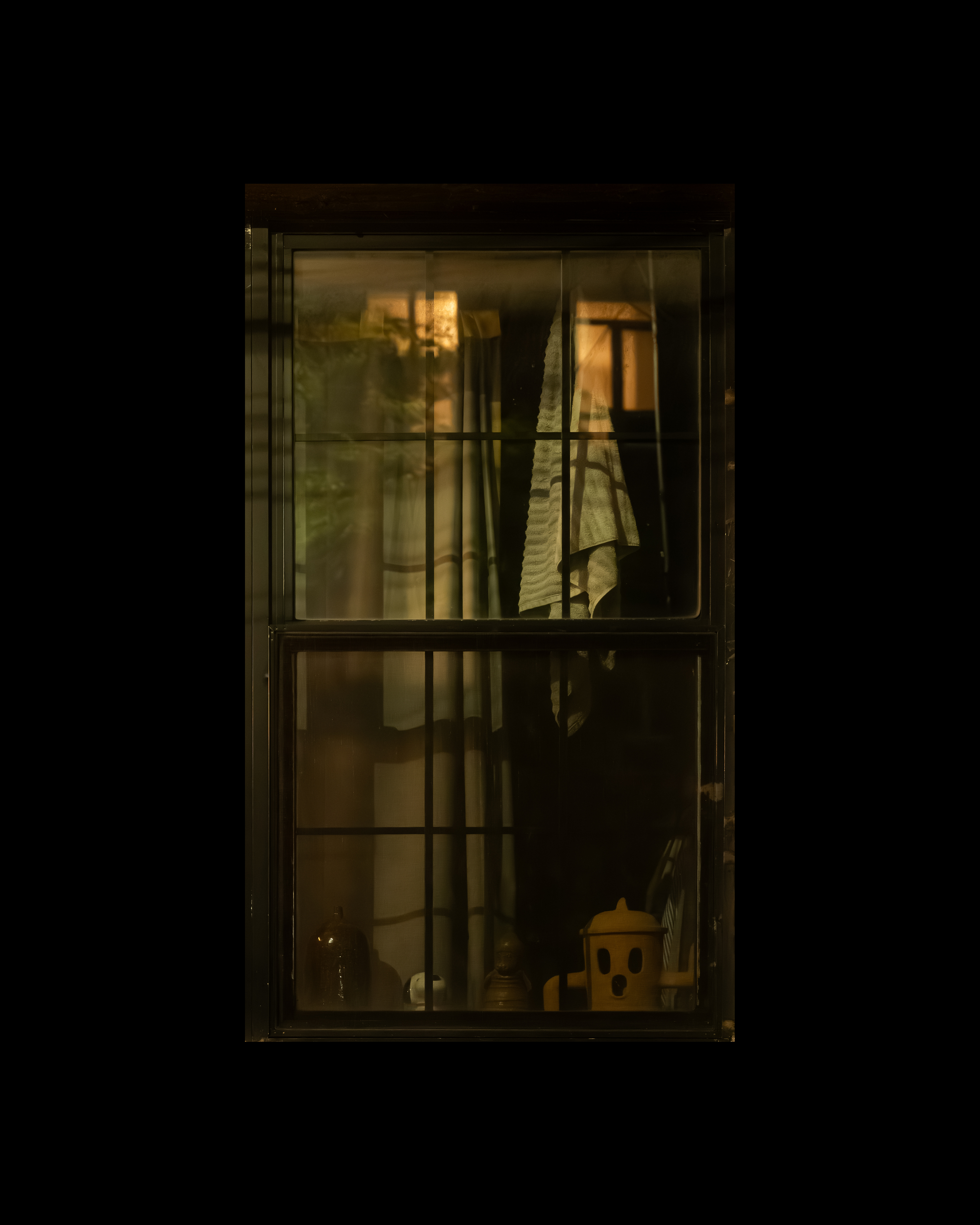 WINDOW 215