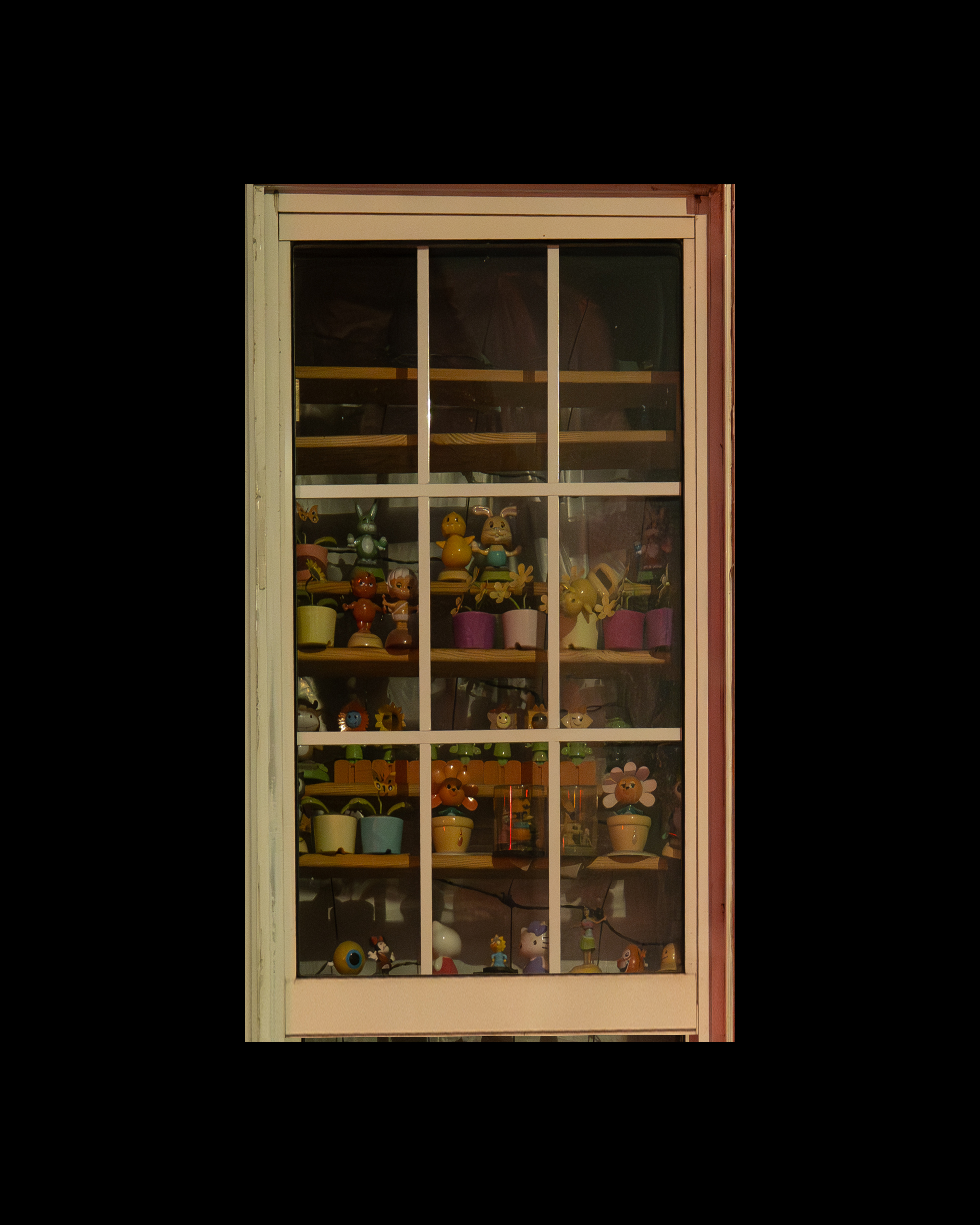WINDOW 628
