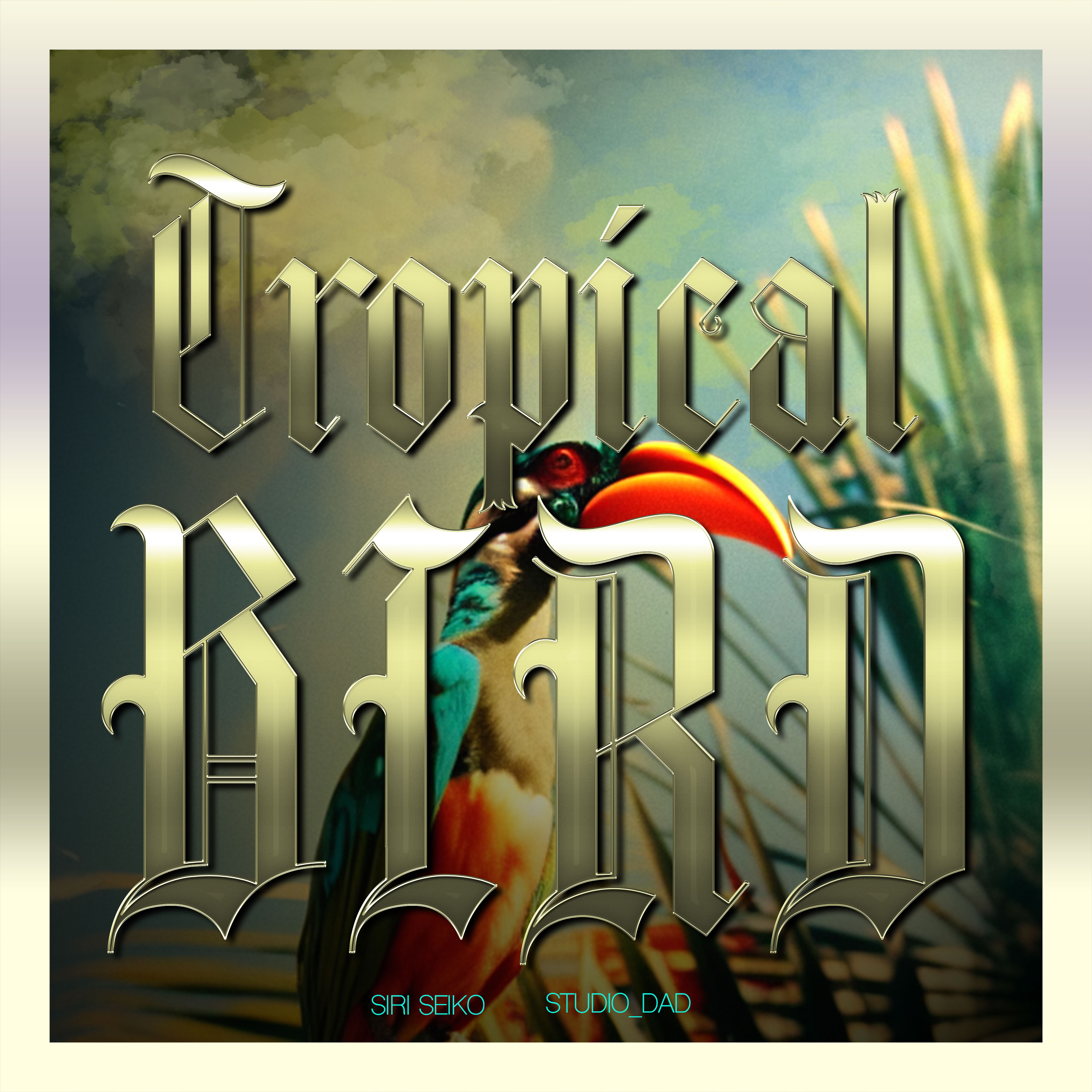 TROPICAL BIRD - Siri Seiko / Studio_Dad 60