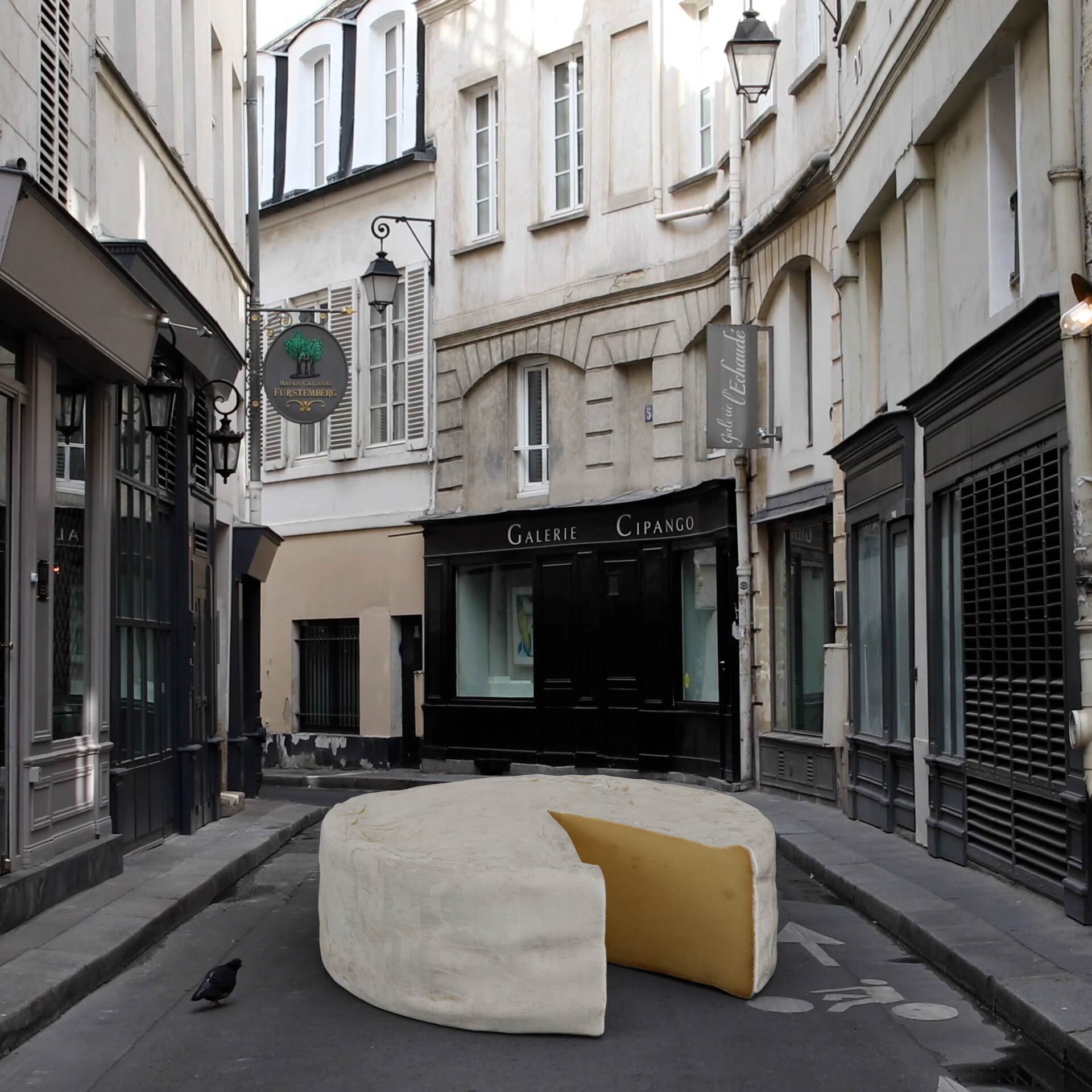 Not In Paris #321