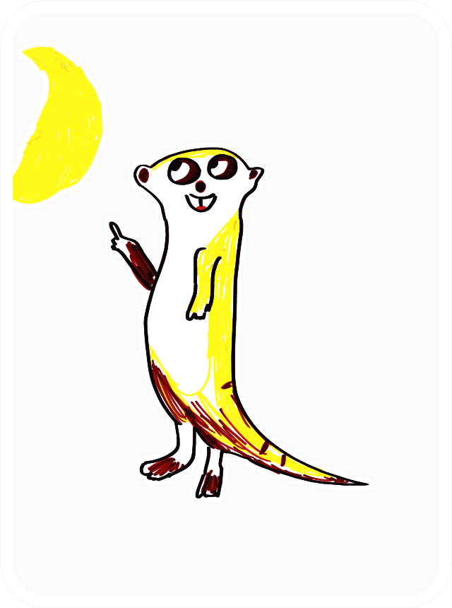 To The Moon Meerkat