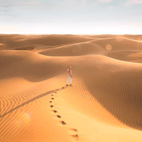 Lost in The Gold