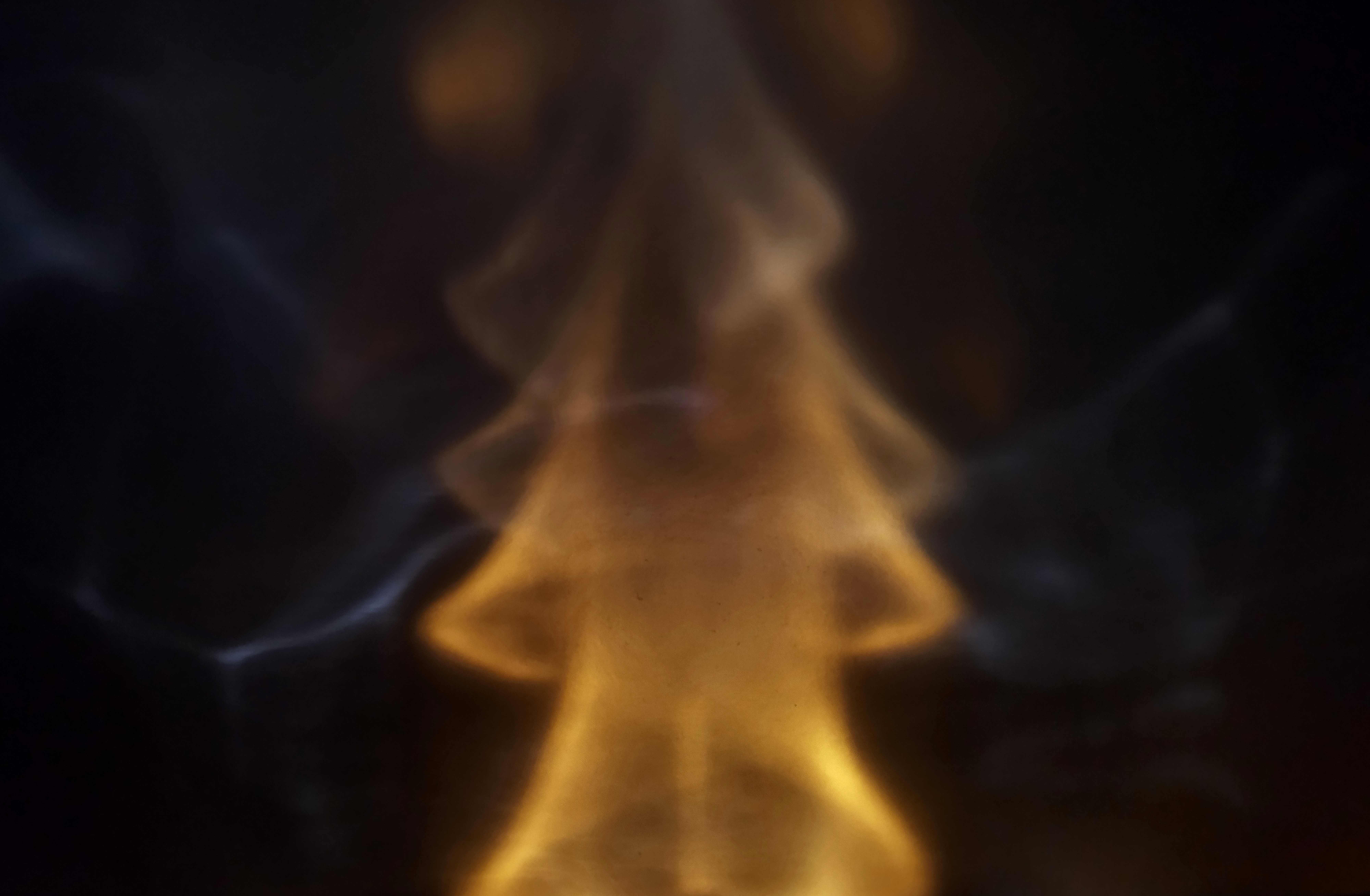 Portal #24