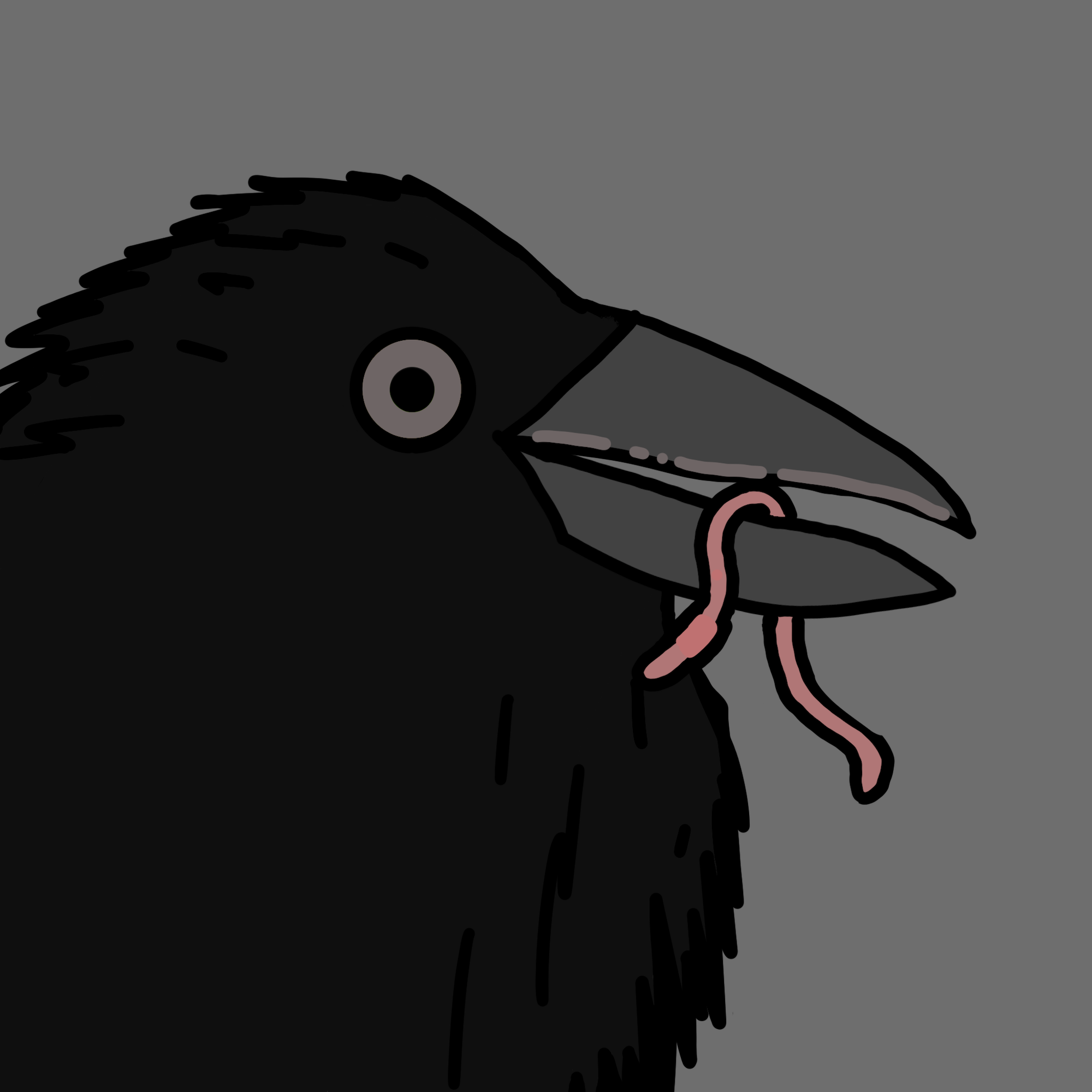 Crow Friends #555