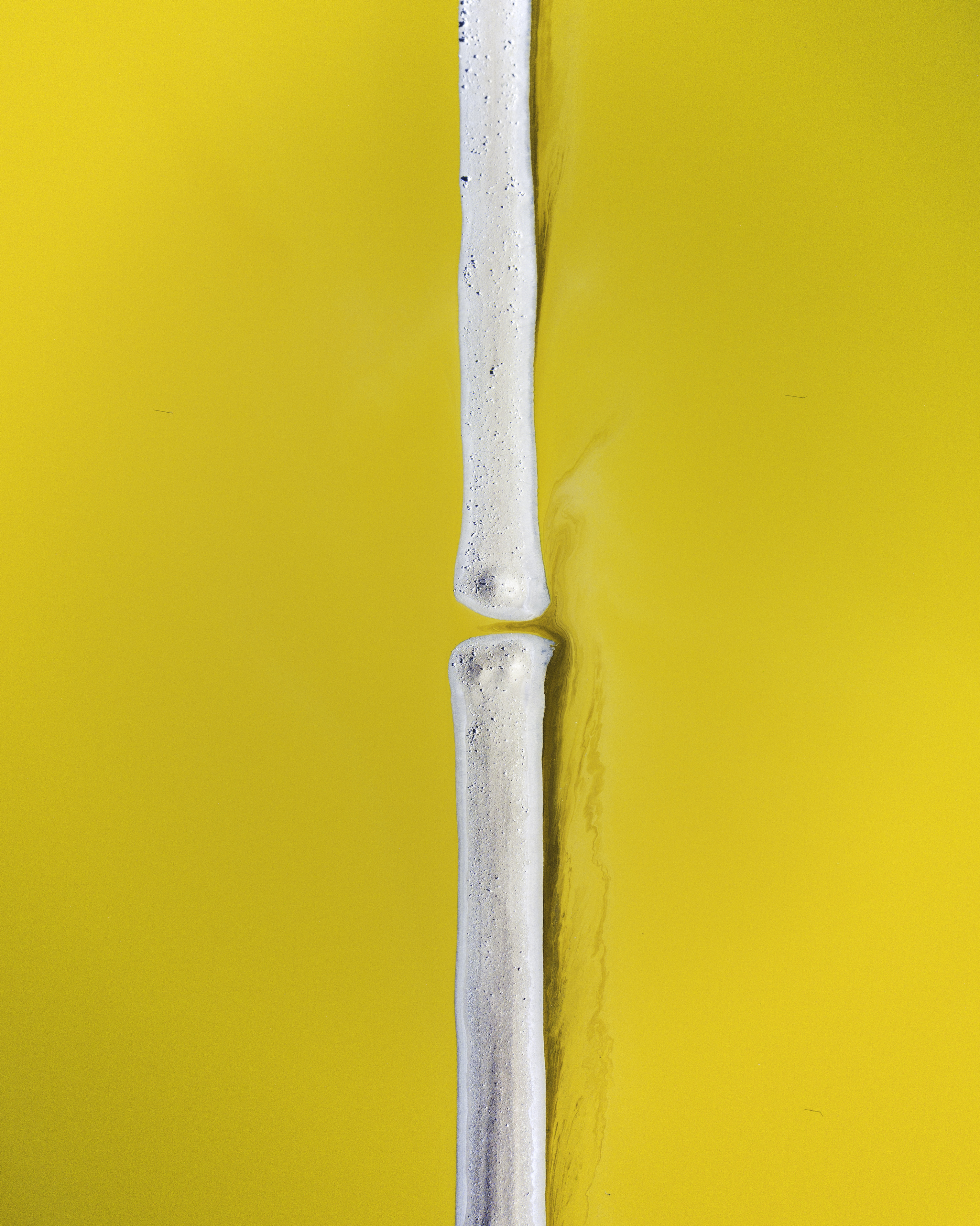 JOINT