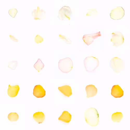Infinite Petals 5x5#2782