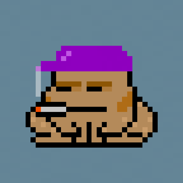 Toad Punks #6745