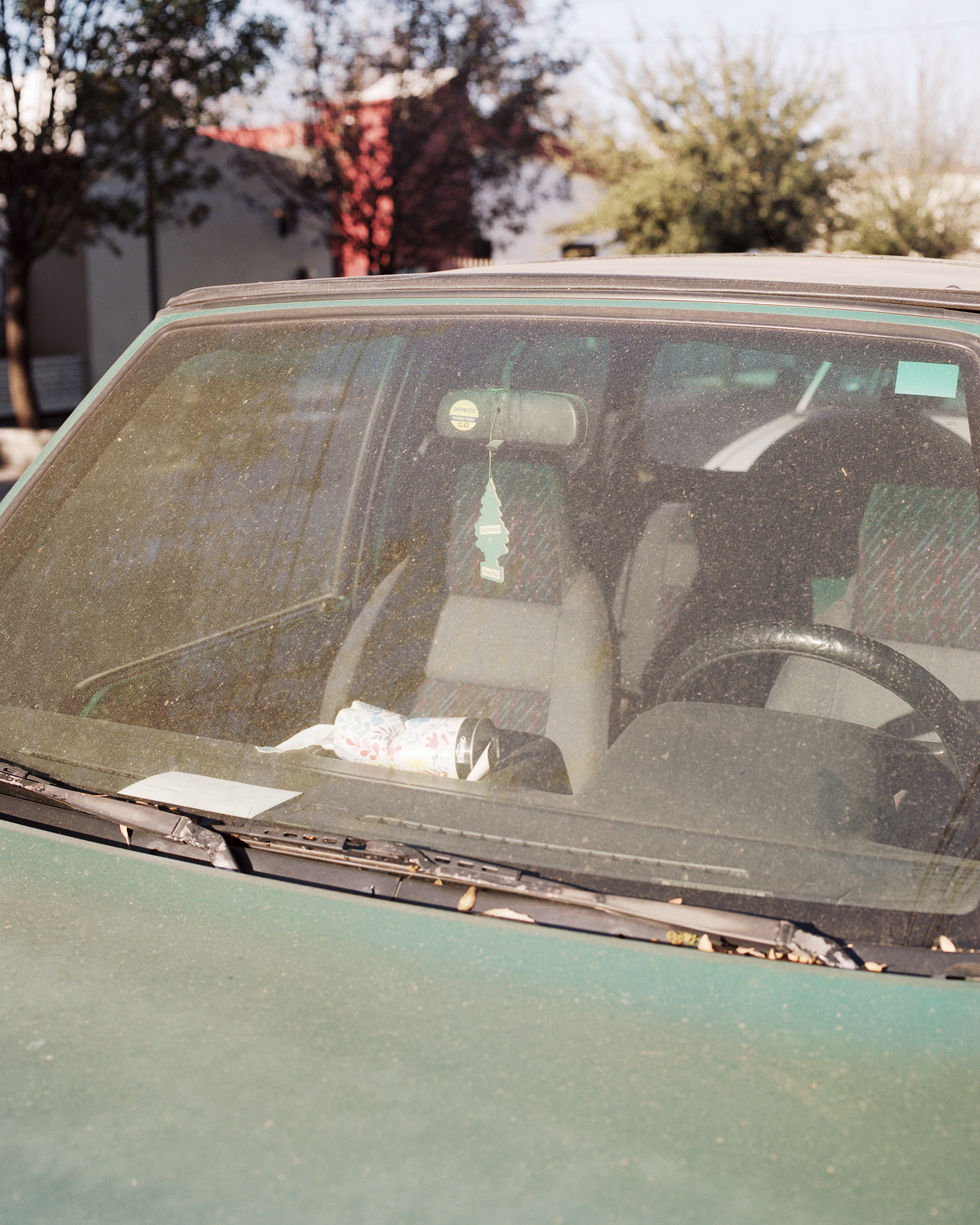 A Tree In A Car