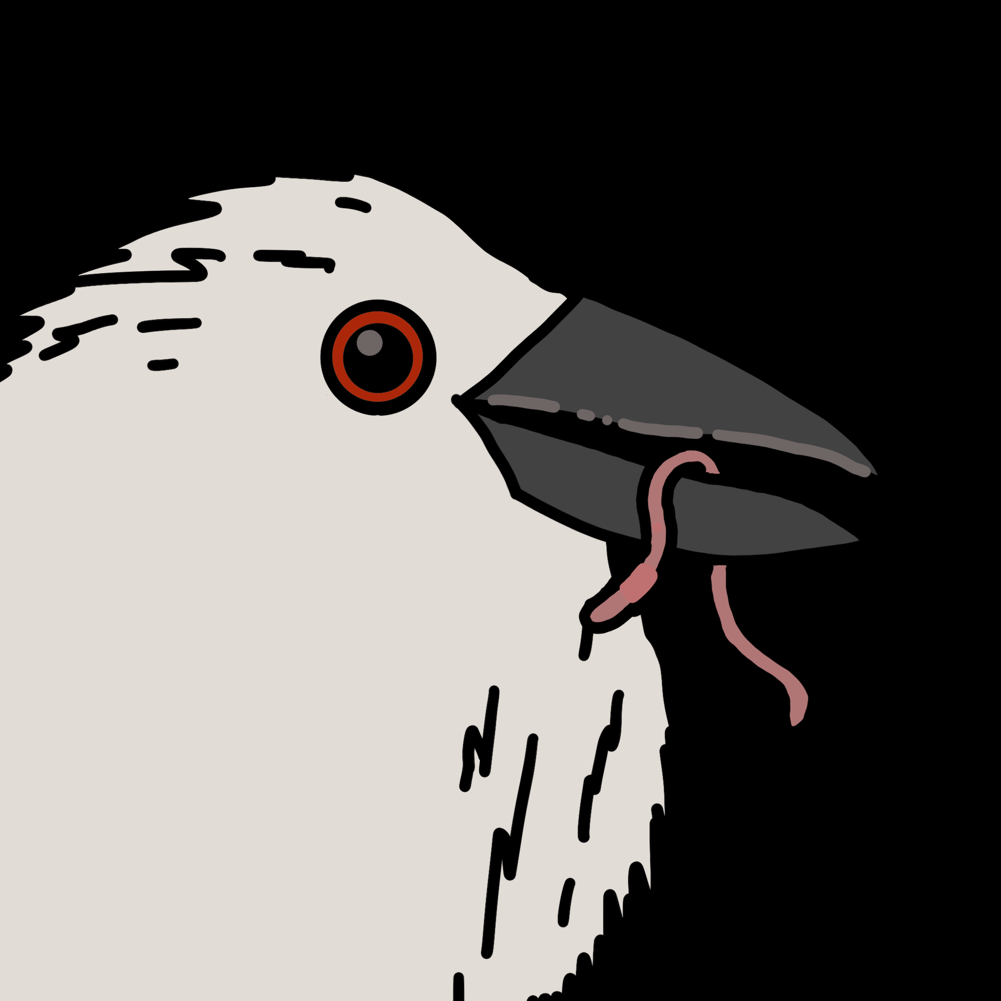 Crow Friends #137