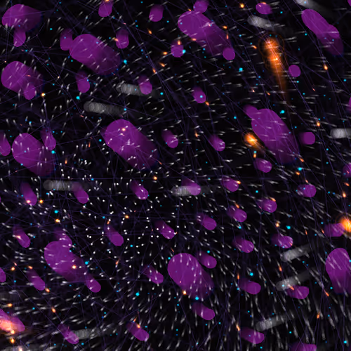 Cosmic Bloom #1147