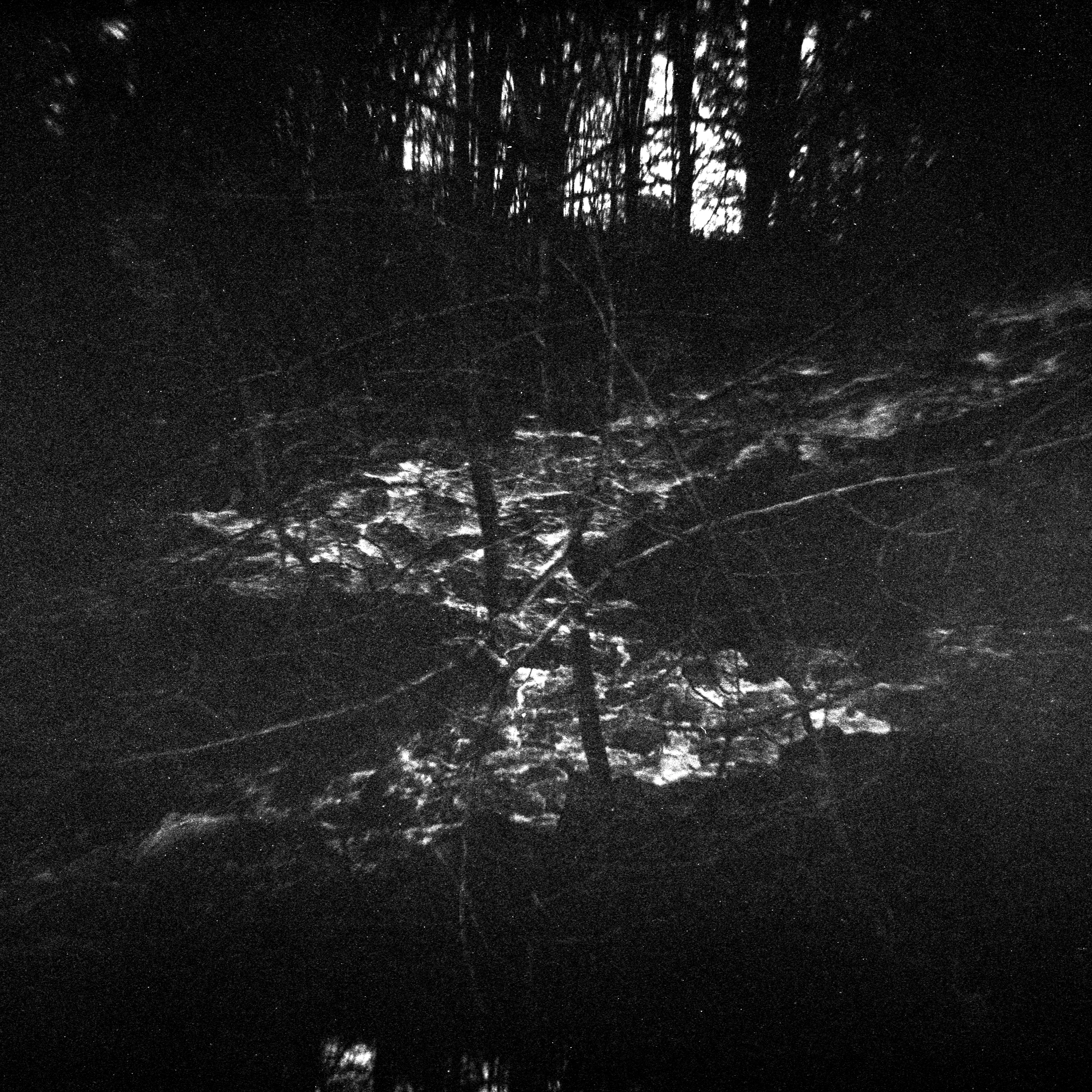 30.4 water rights