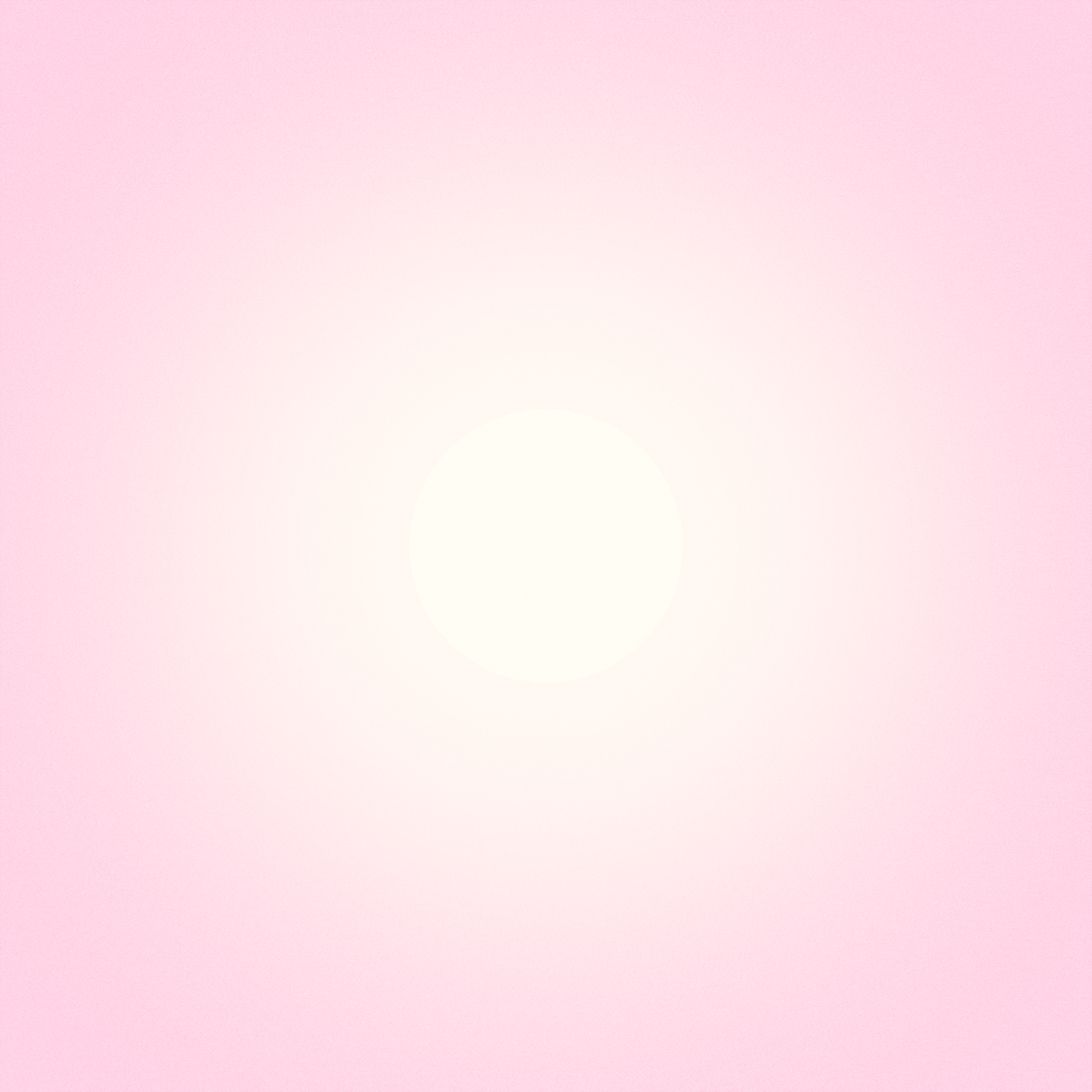 with the light 27