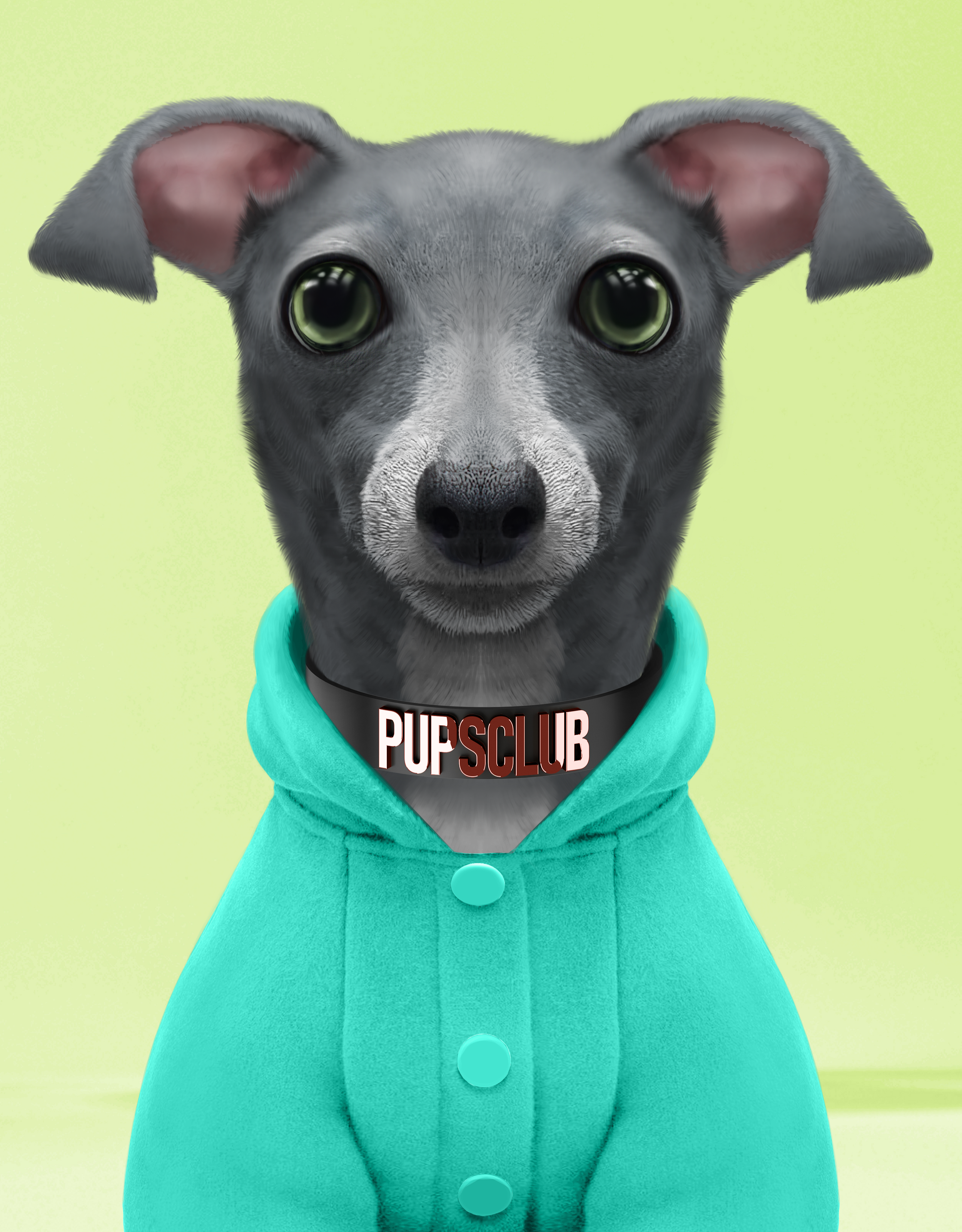 Pup #3653