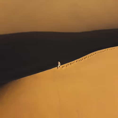 Dunes Hunter