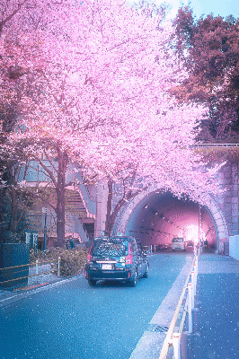 Tunnel