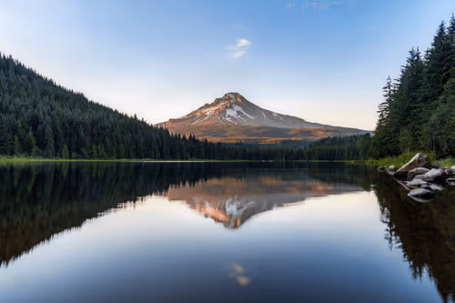 Mirrored Memories