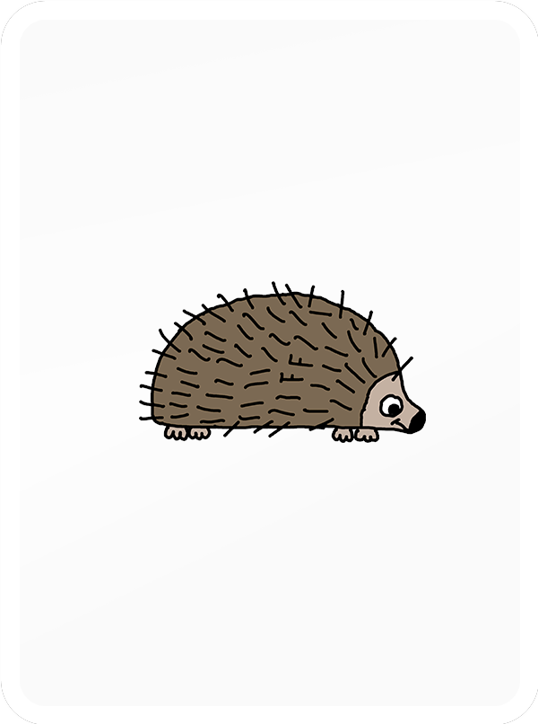 Prickly Porcupine