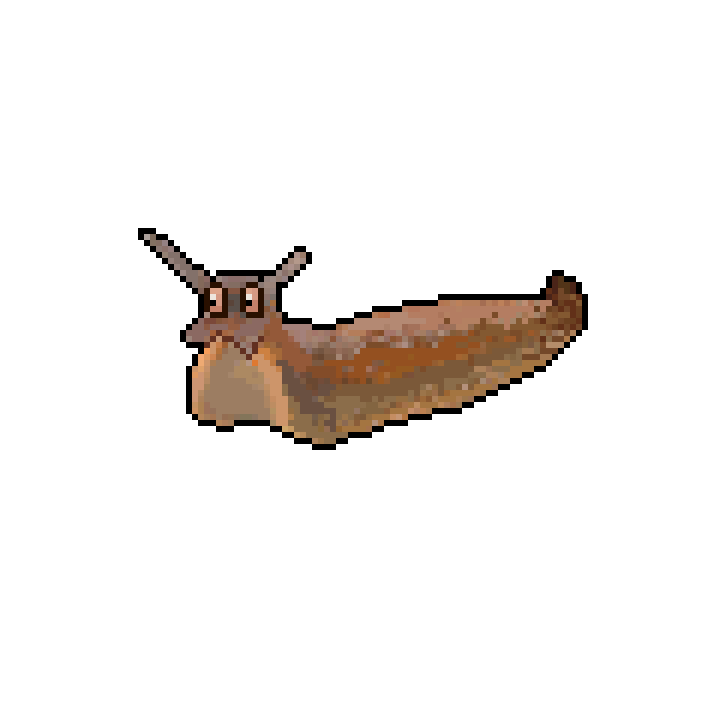 Slug