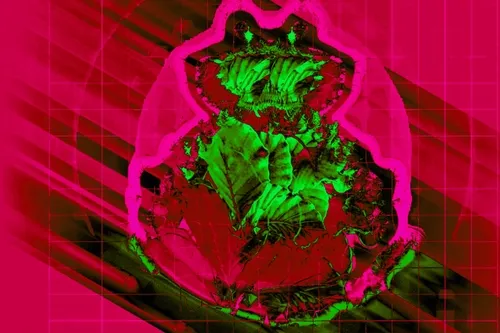 Neon Glitch Pepe